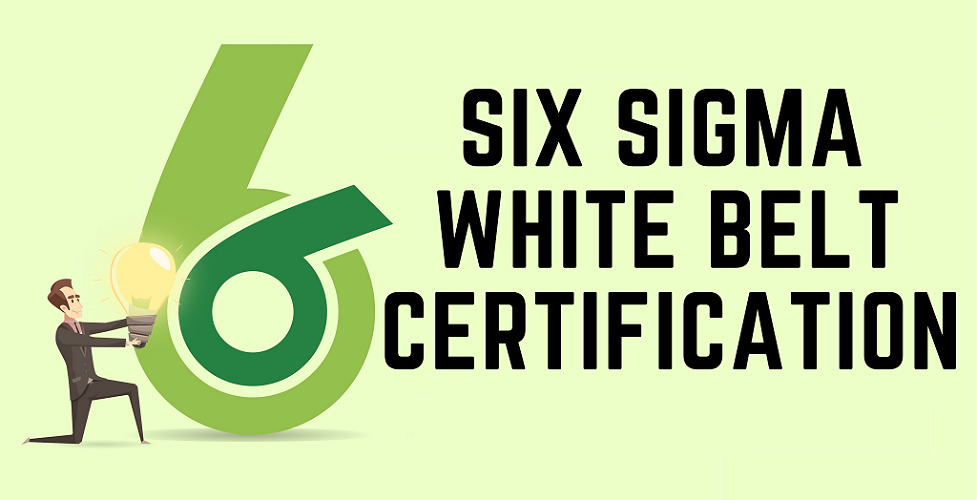 six sigma white belt