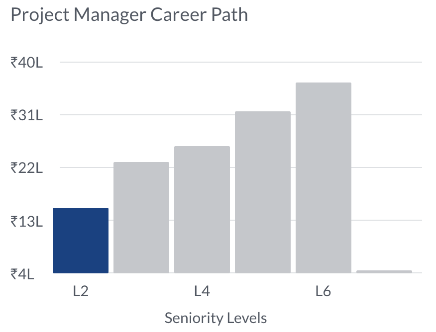 Project Manager Career Path Salary Trajectory | 4