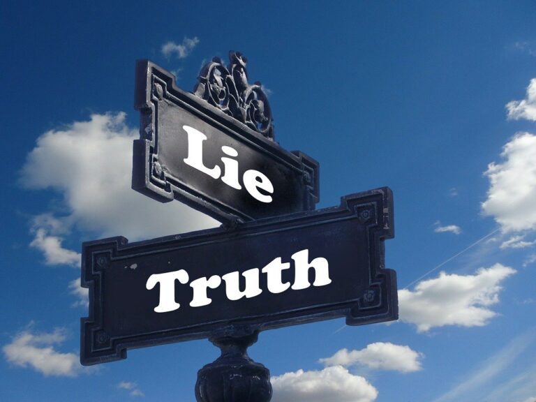 no need to lie essay questions and answers