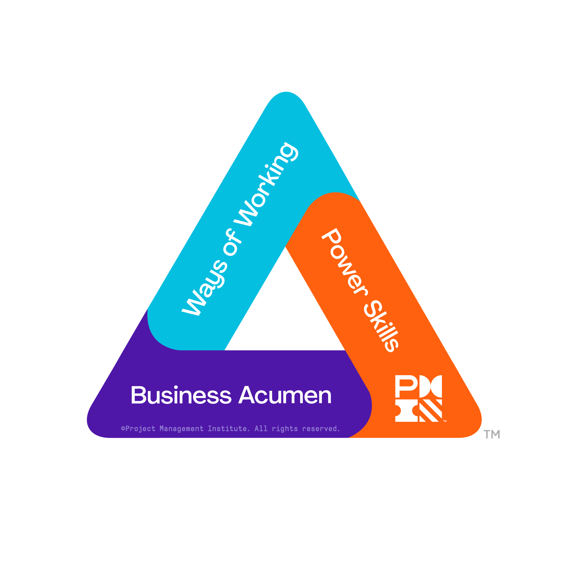 New PMI PMP talent triangle